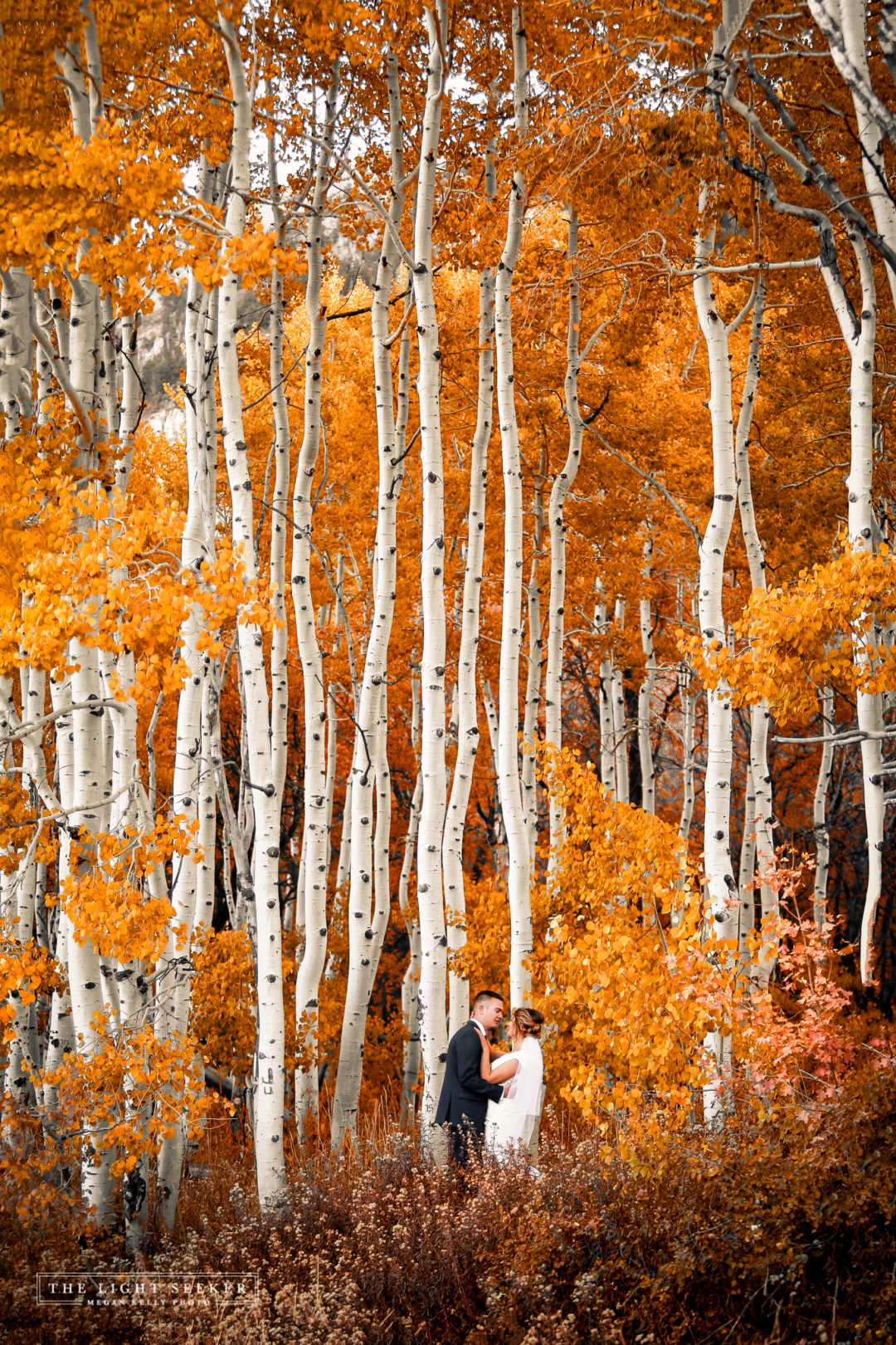 Bridals near Provo during fall near Squaw Peak