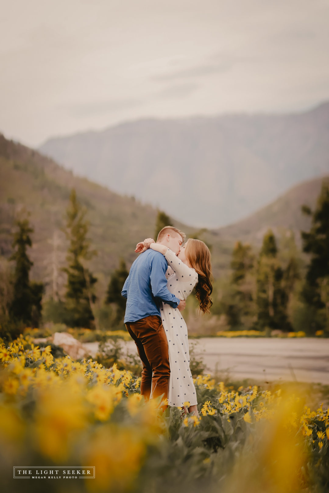 Megan Kelly, engagements, photographer, wildlife, Snowbasin, spring, utah