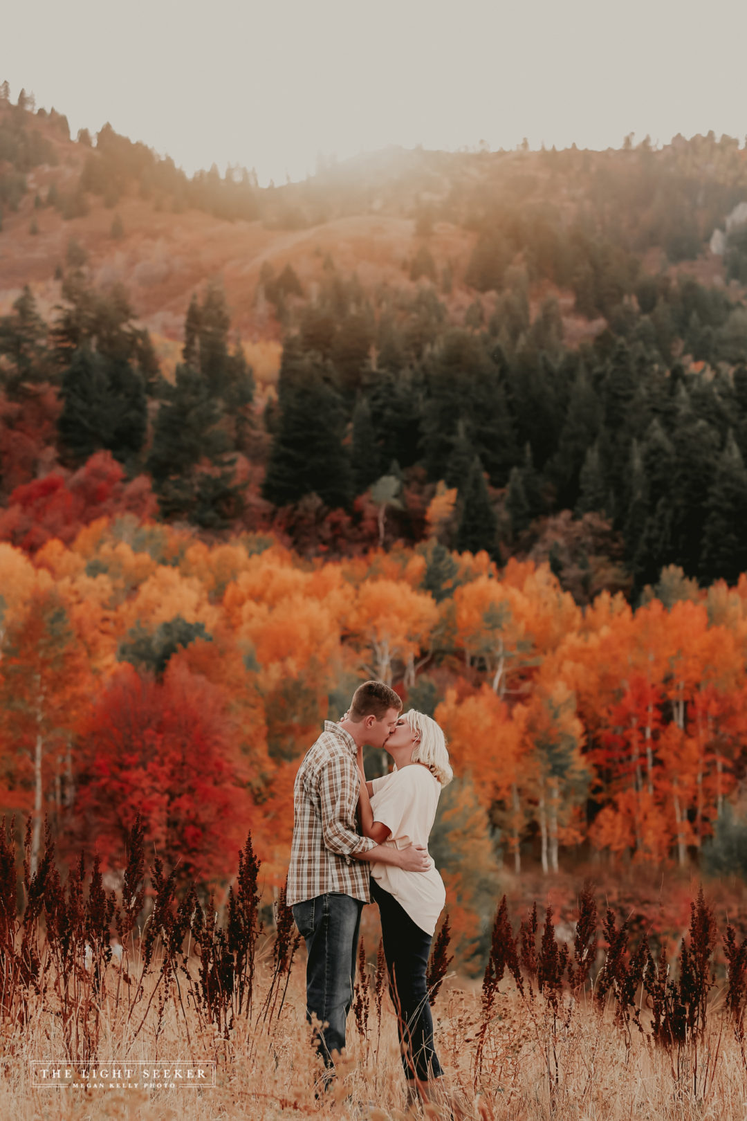 Fall, Snowbasin, Mountain Green, Utah Photographer, Color, Trees, Photography