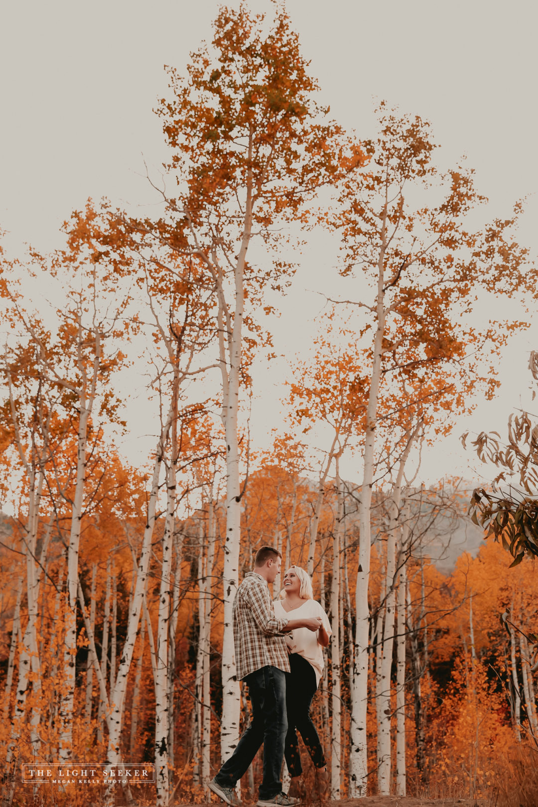 Fall, Snowbasin, Mountain Green, Utah Photographer, Color, Trees, Photography