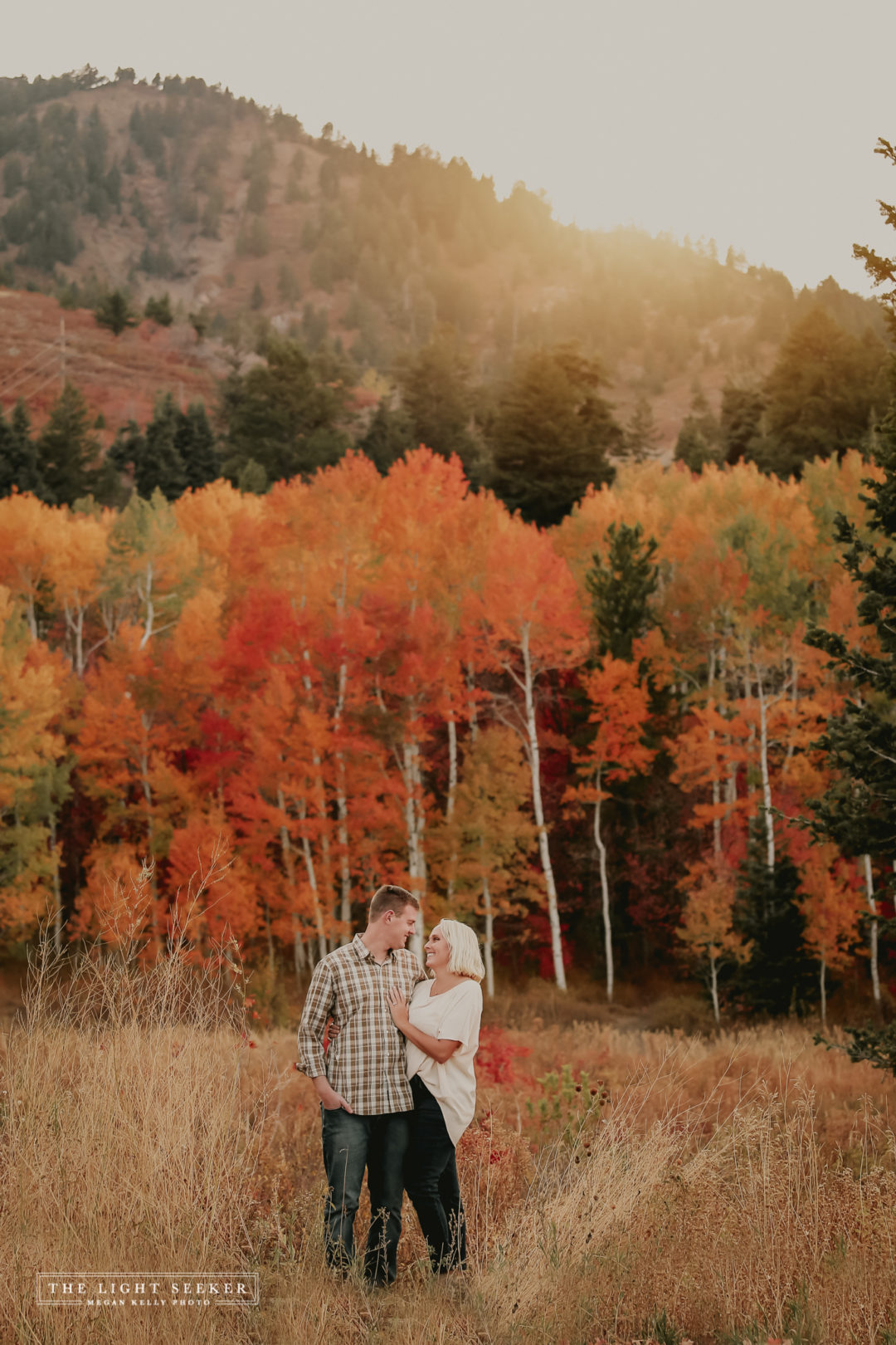 Fall, Snowbasin, Mountain Green, Utah Photographer, Color, Trees, Photography