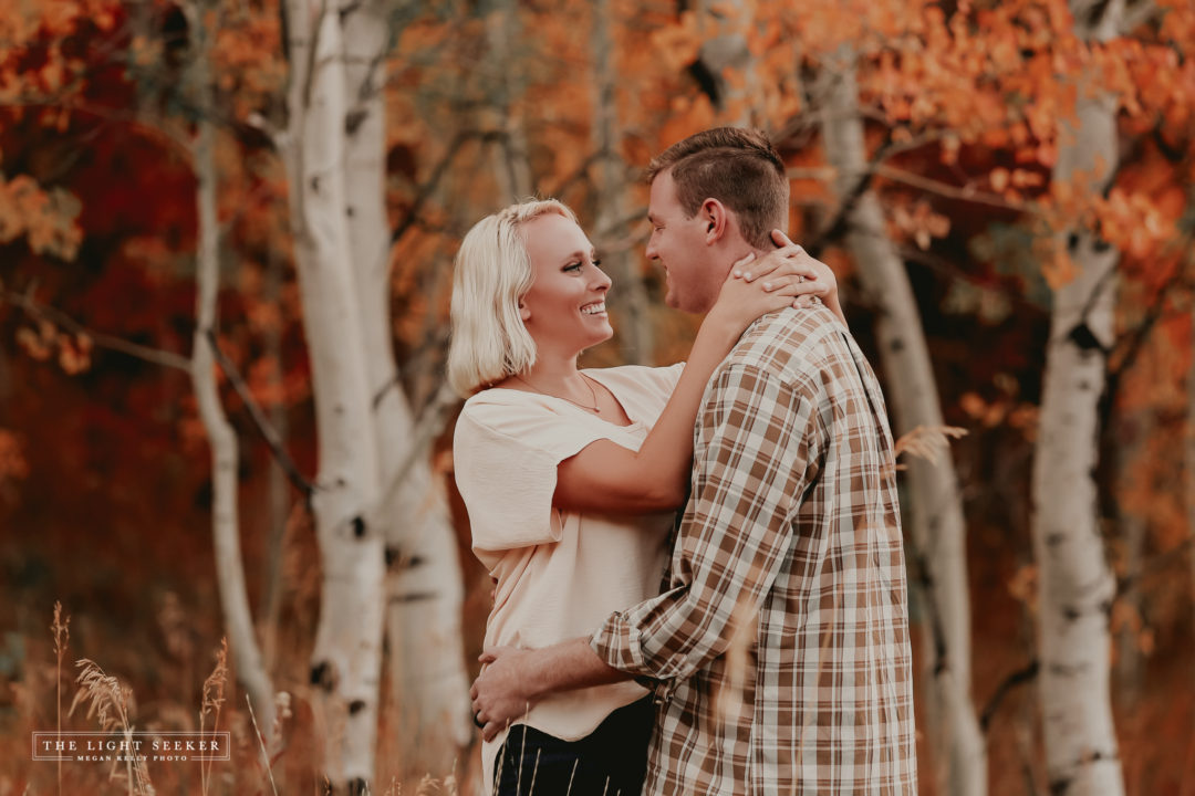 Fall, Snowbasin, Mountain Green, Utah Photographer, Color, Trees, Photography