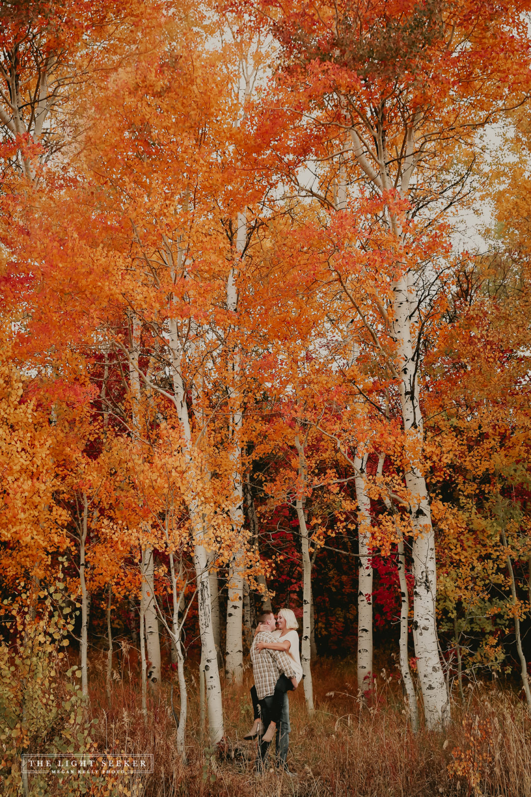 Fall, Snowbasin, Mountain Green, Utah Photographer, Color, Trees, Photography