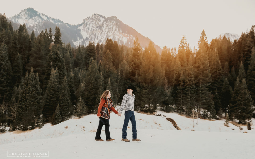 Brandon + Shanda Engagements