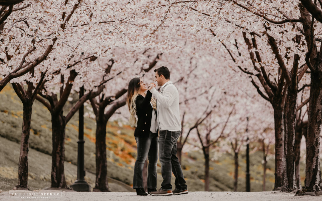 Amadors – Utah Capitol Building blossoms